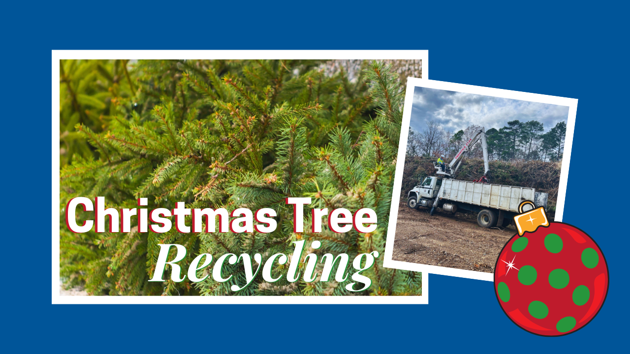 Article Christmas tree thumbnail